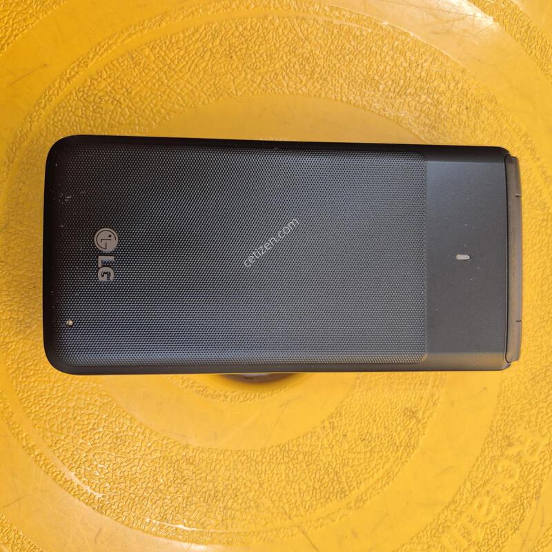 Y110L