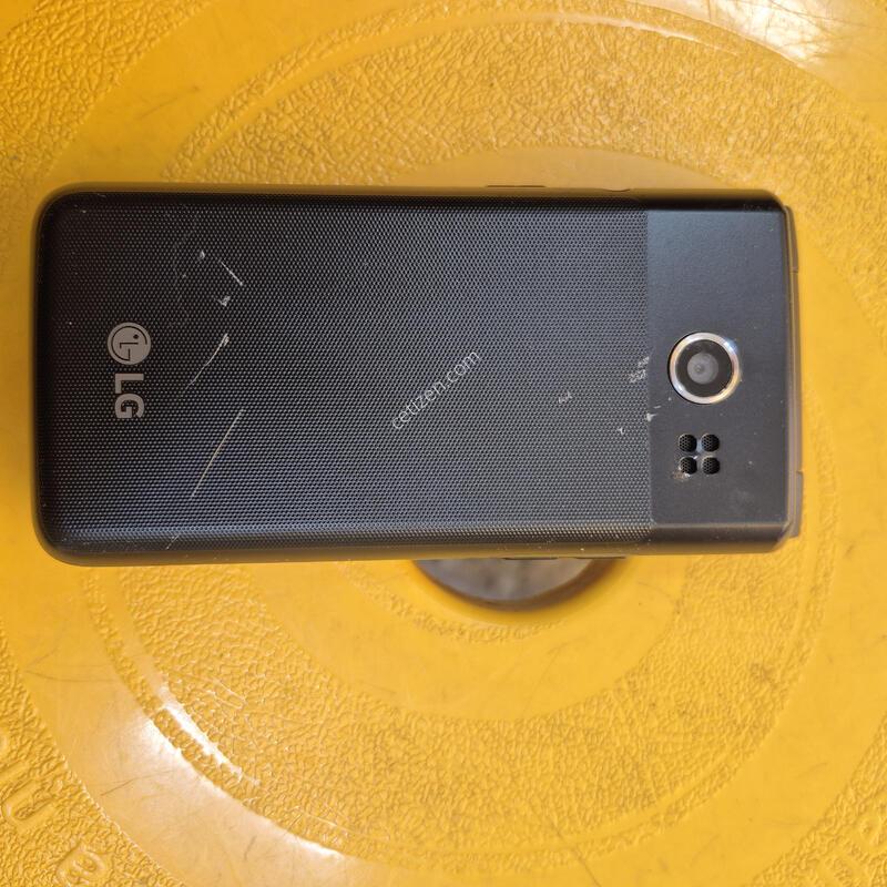 Y110L