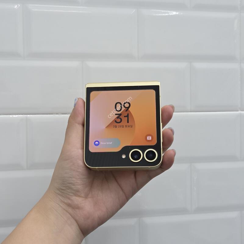 ������Z�ø�6 ���ο� 512GB