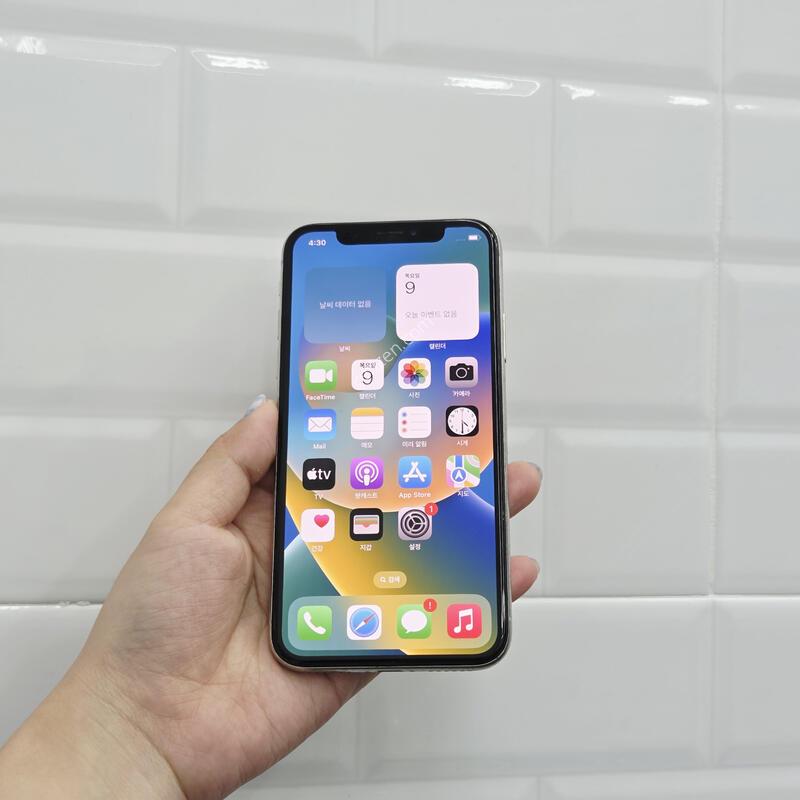 ������X 256GB �ǹ�
