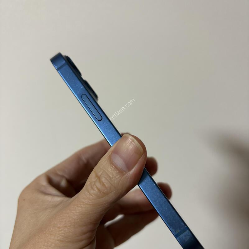 ������13�̴� 256G �̱�ü�����״��