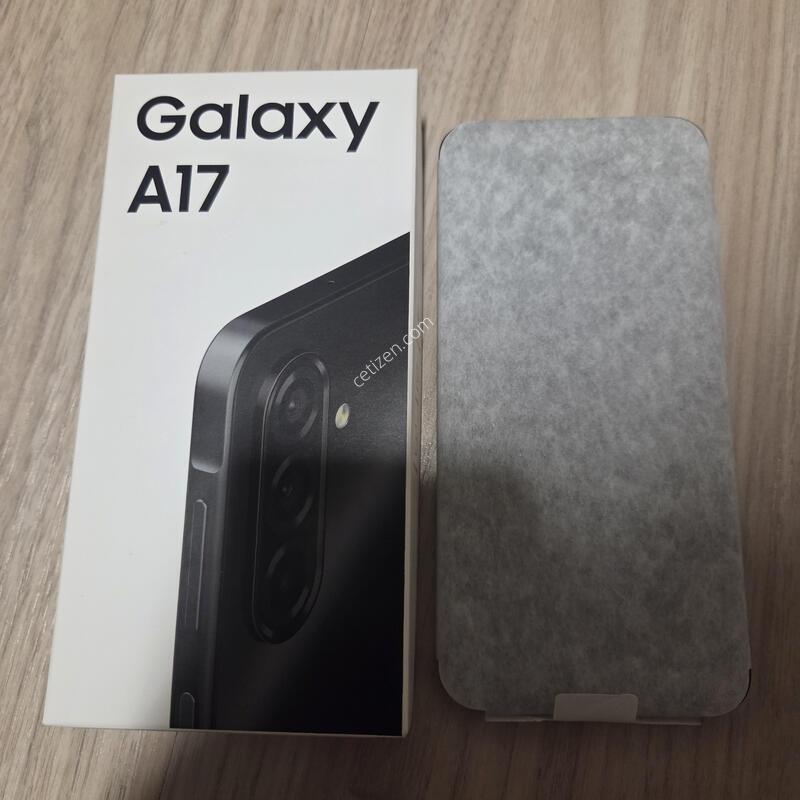 ������ a17 ������