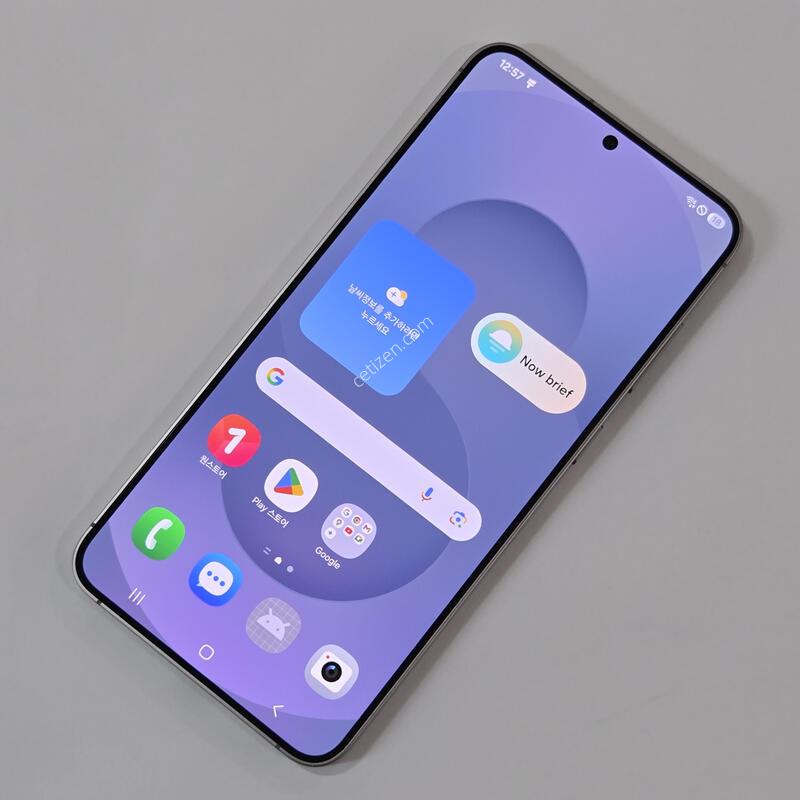 ������ S25 �÷��� 256GB �׷��� 75355