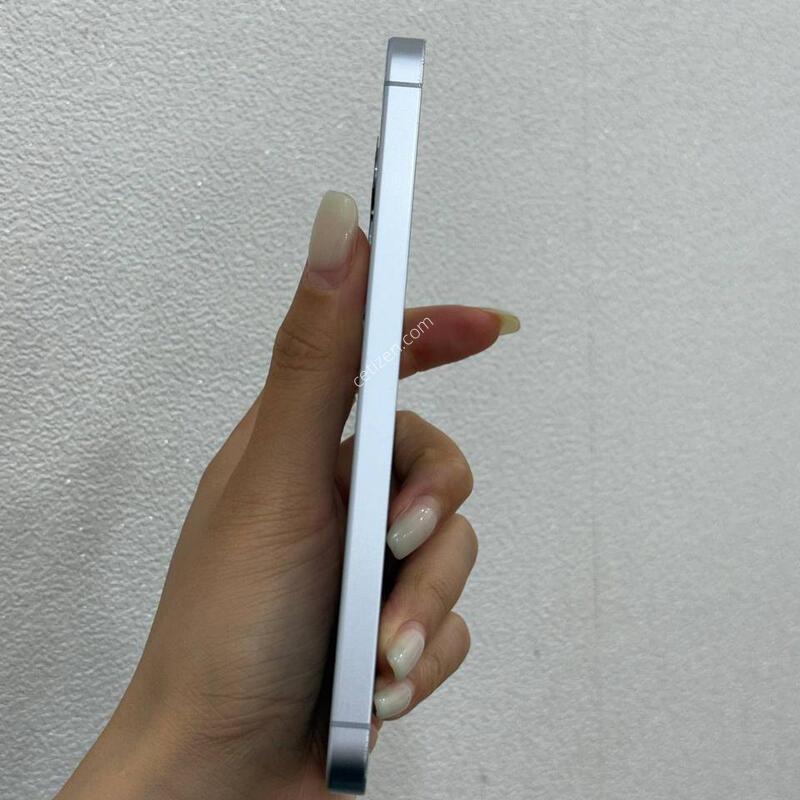 (����S��)������S25 ���� 256 Y1811