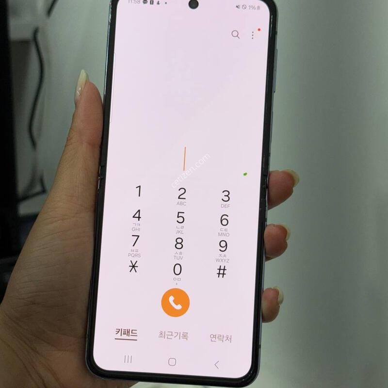 ���ܻ�)������Z�ø�4 ���� 256GB Y1821