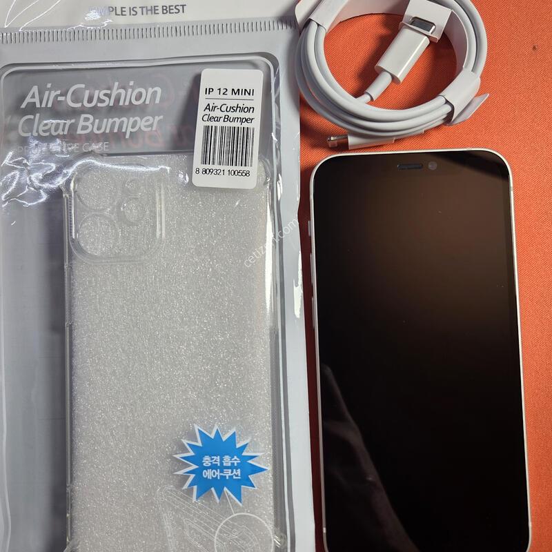 ������12�̴�256GB.���͸�100