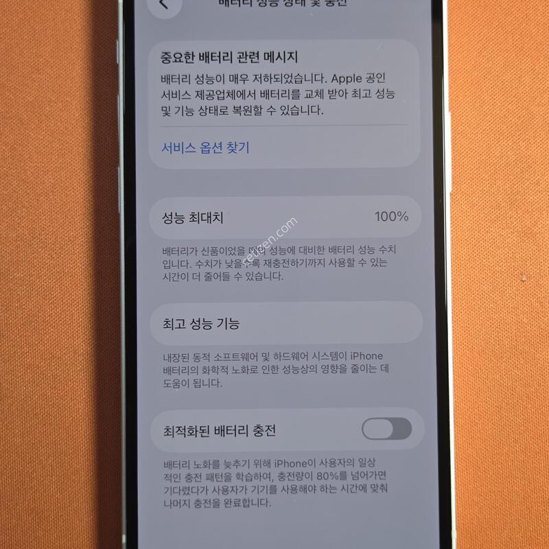 ������12�̴�256GB.���͸�100