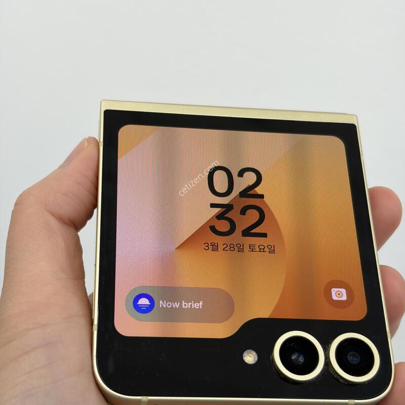 ��Ʈ�ø�6. 256�Ⱑ ���λ��� �˴ϴ�