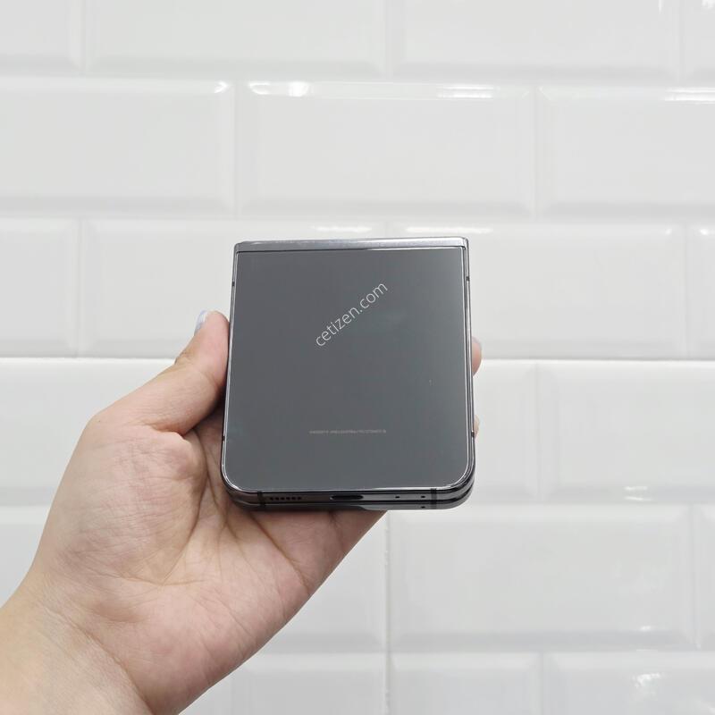 ������Z�ø�5 256GB �׶�����Ʈ