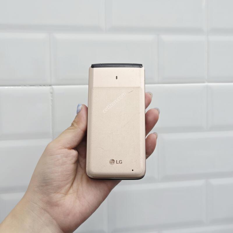 Y110 LG������ ���
