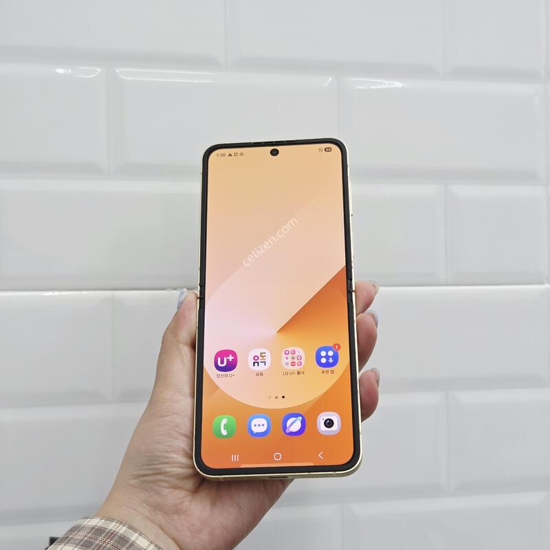 ������Z�ø�6 ���ο� 256GB A��