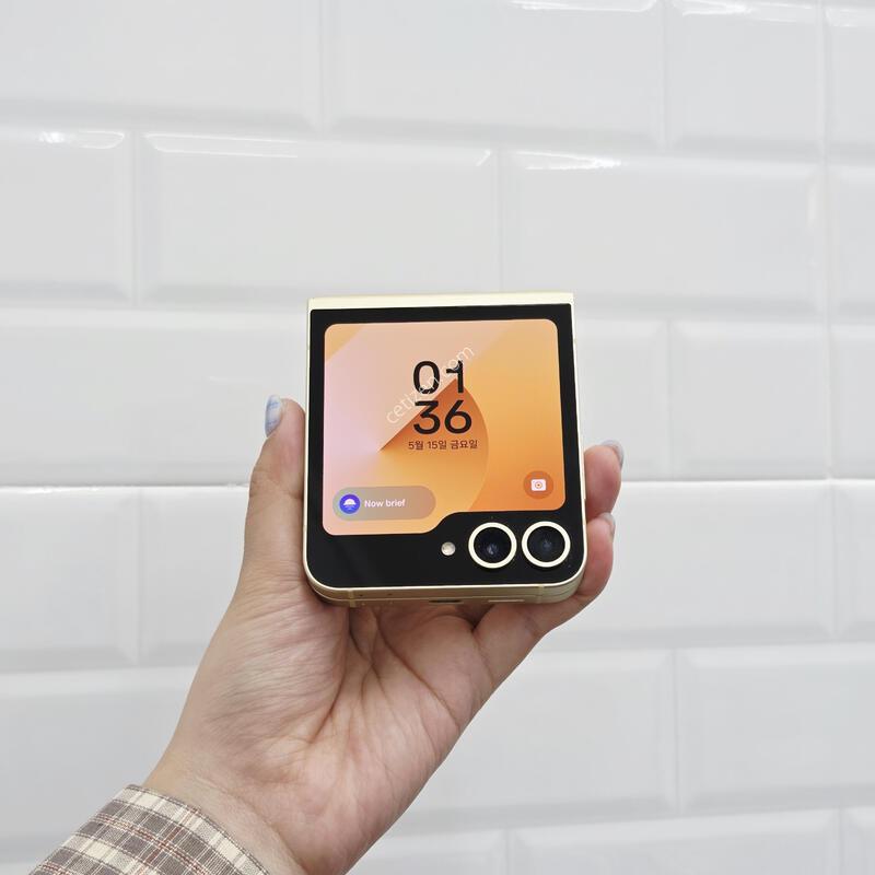 ������Z�ø�6 ���ο� 256GB A��