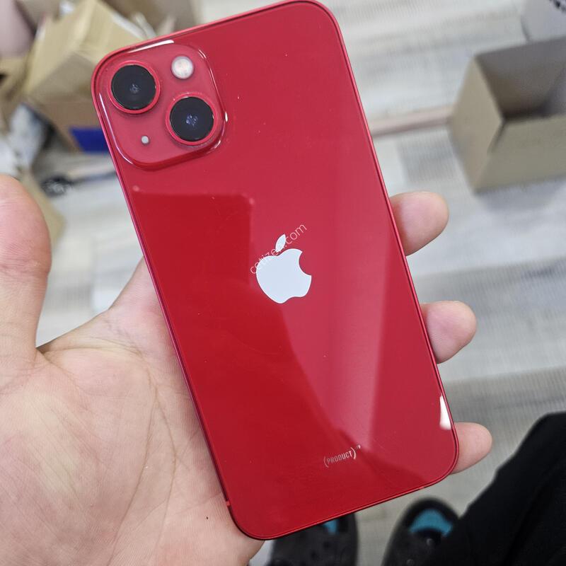 S�� ���� ������13����