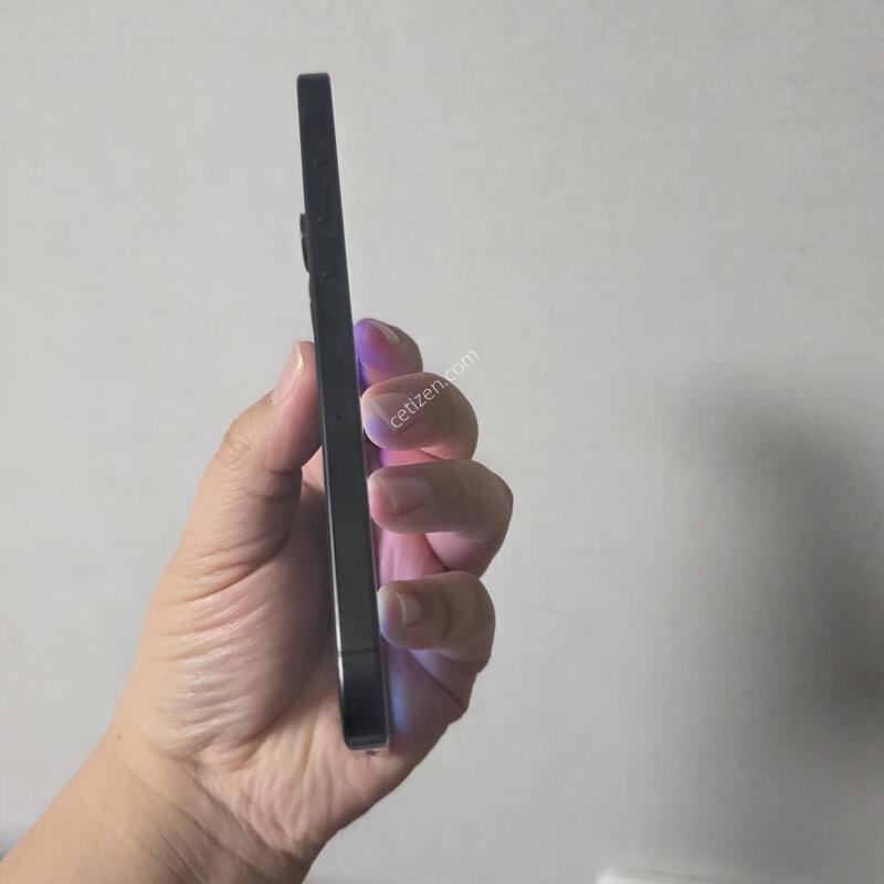 ������15���θƽ� ���� ƼŸ�� 256�Ⱑ SS�� �˴ϴ�