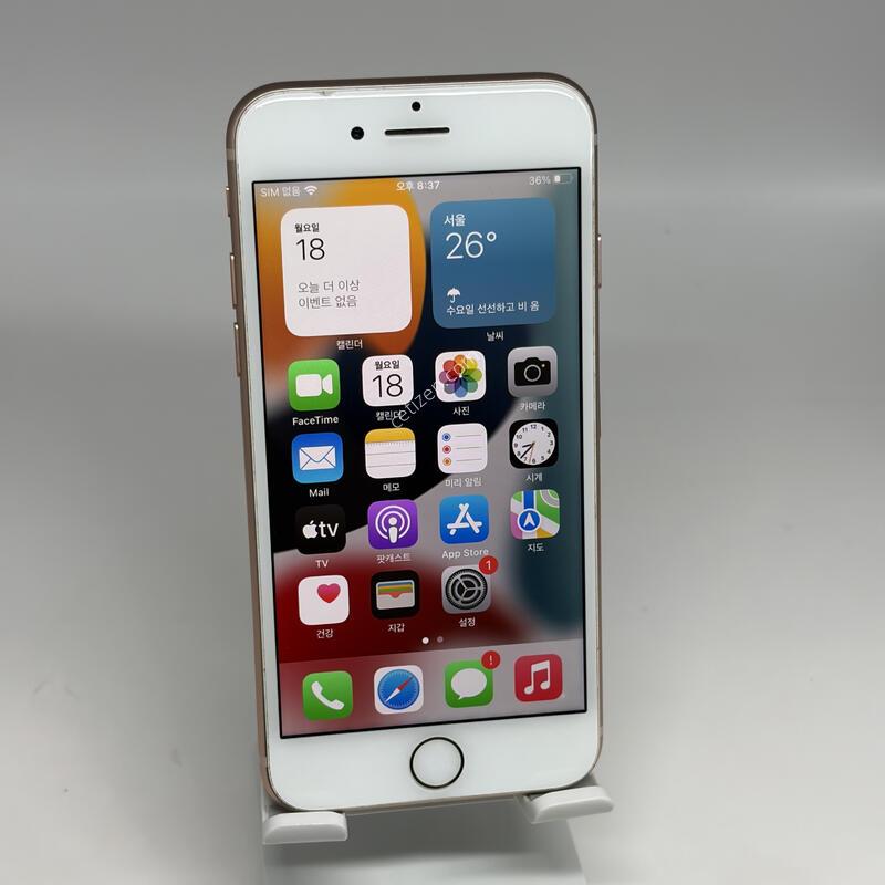 �ܰ�S��! ������8 256GB ��� [���͸�100%]