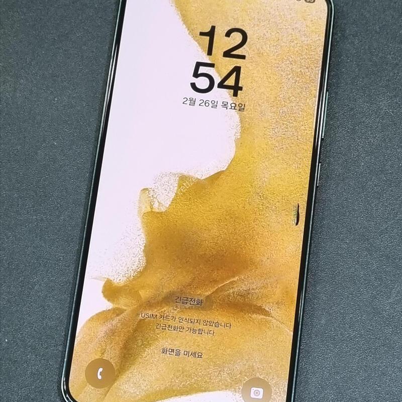 ������S22�÷��� 256GB �׸� S906N