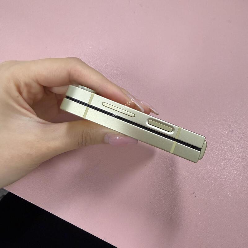 ������Z�ø�6 ���ο� 256GB