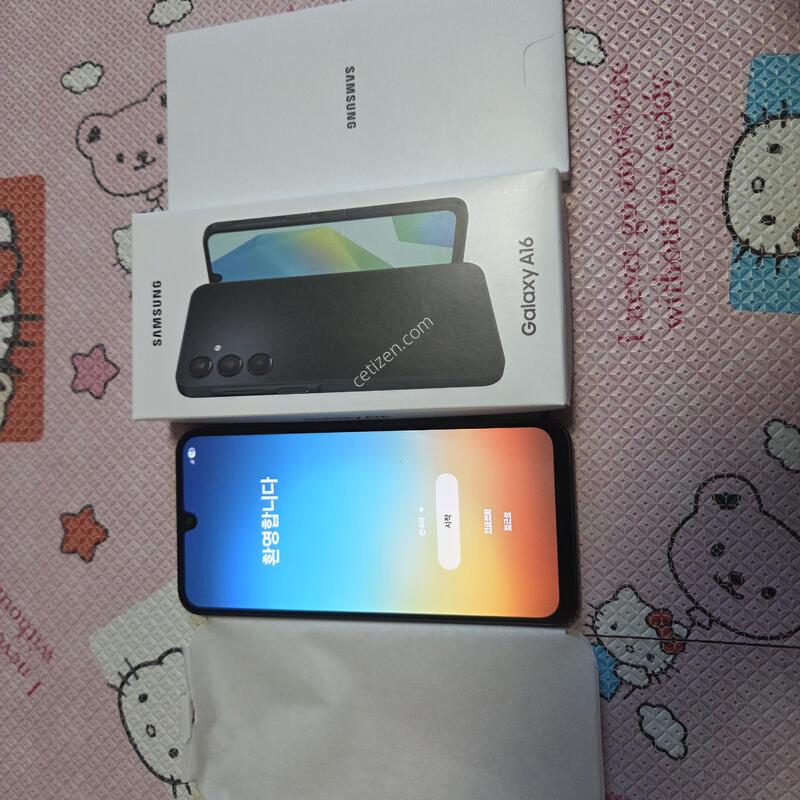 A16 S�� �˶㰡��
