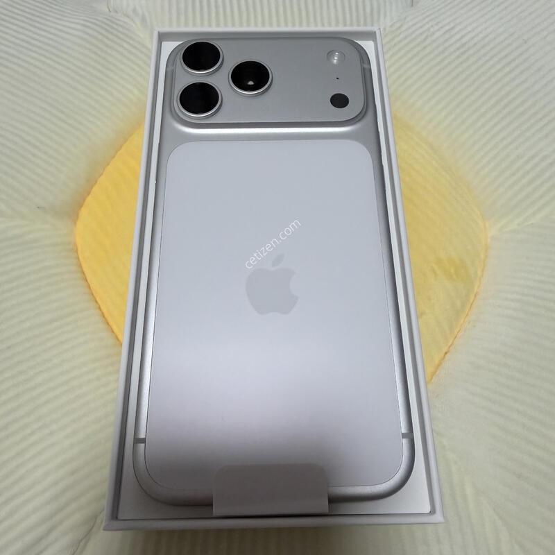 (�ڱ���) ������17 ���θƽ� �ǹ� 256GB