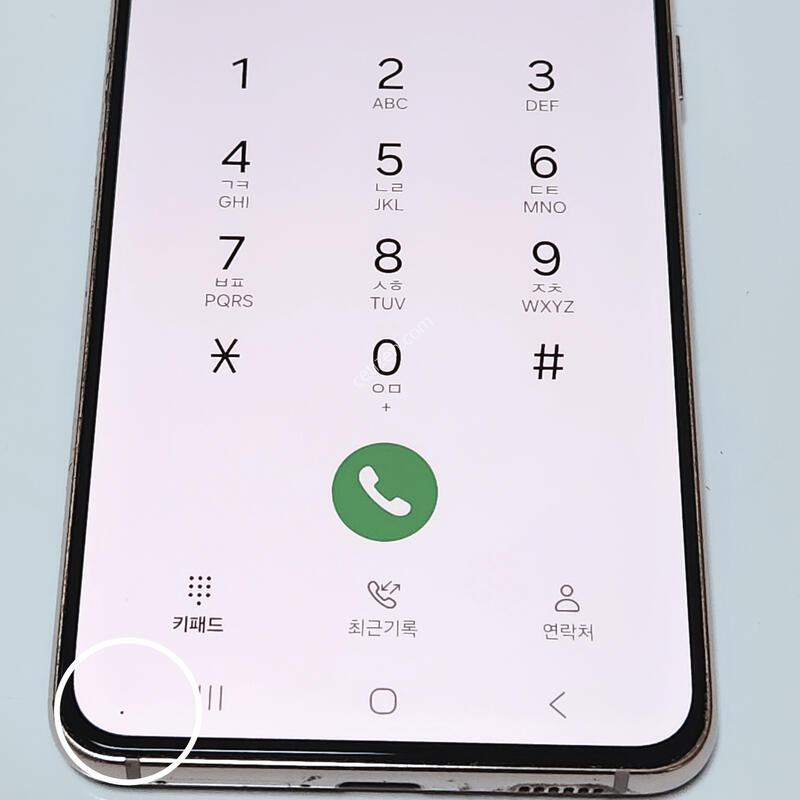 ������S21 256G ���ܻ� ���� 61117