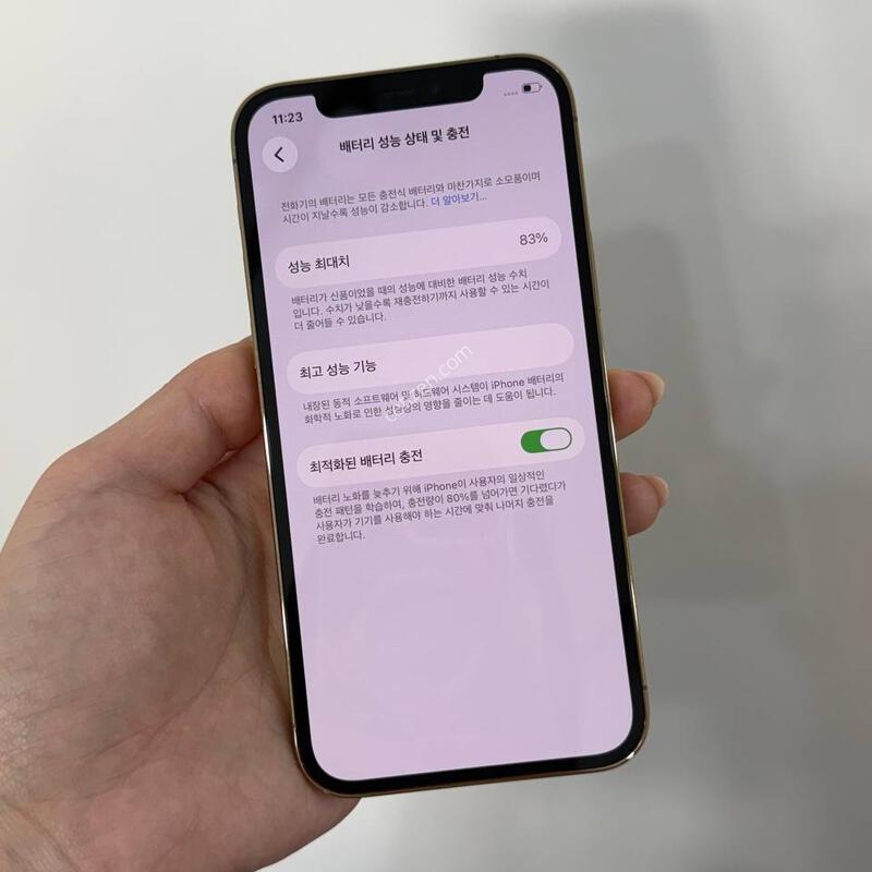 A��/Ǯ��)������12���� ��� 128GB/83% Y1842