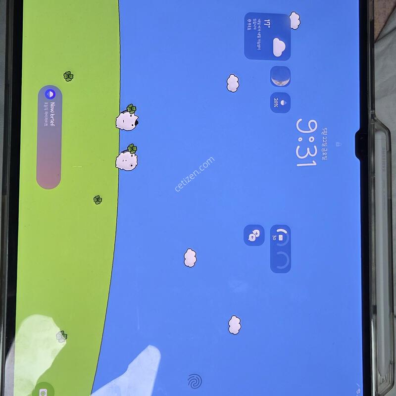 ��������s10 ��Ʈ�� 5g 1tb