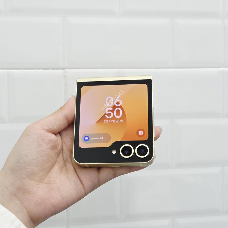 ������Z�ø�6 ���ο� 256GB