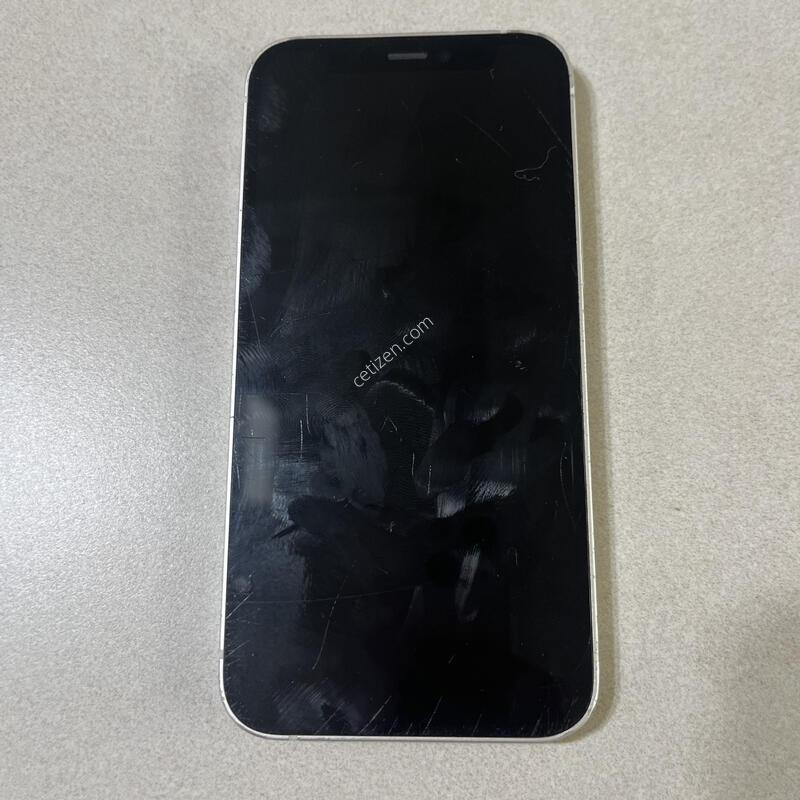 ������12�̴�