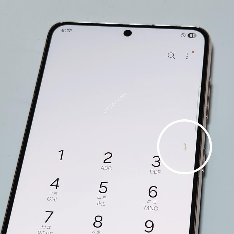 ������S21 256G ���ܻ� ���� 60748