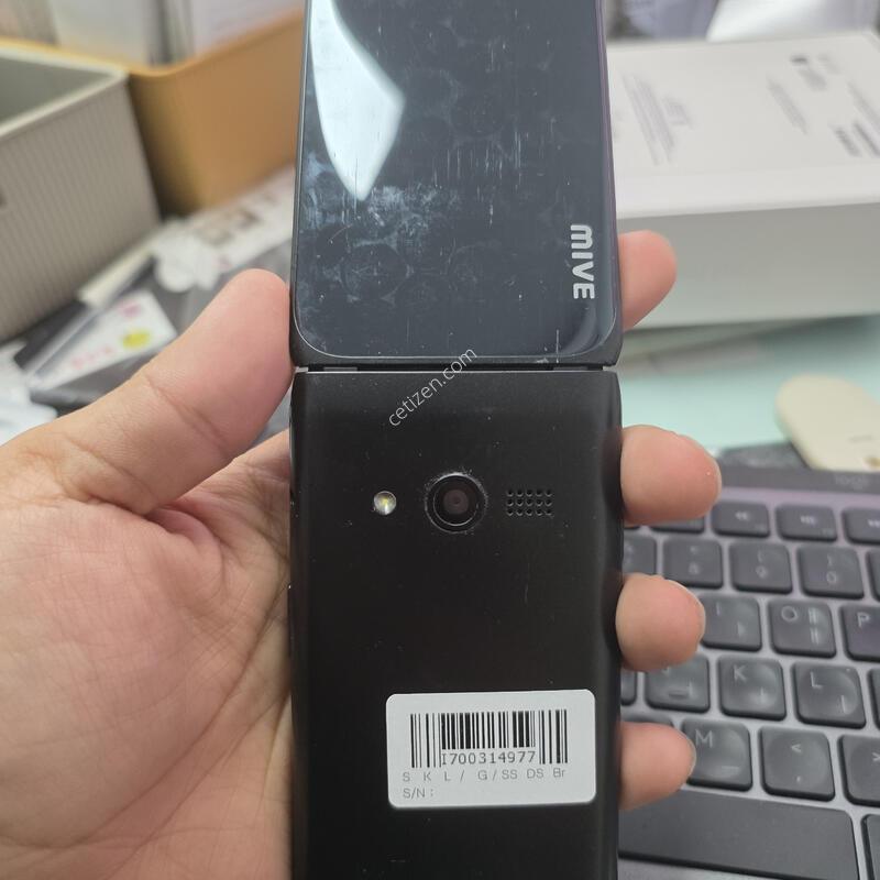 (295)��Ÿ������