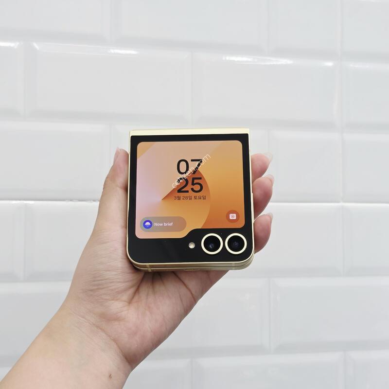 ������Z�ø�6 ���ο� 256GB