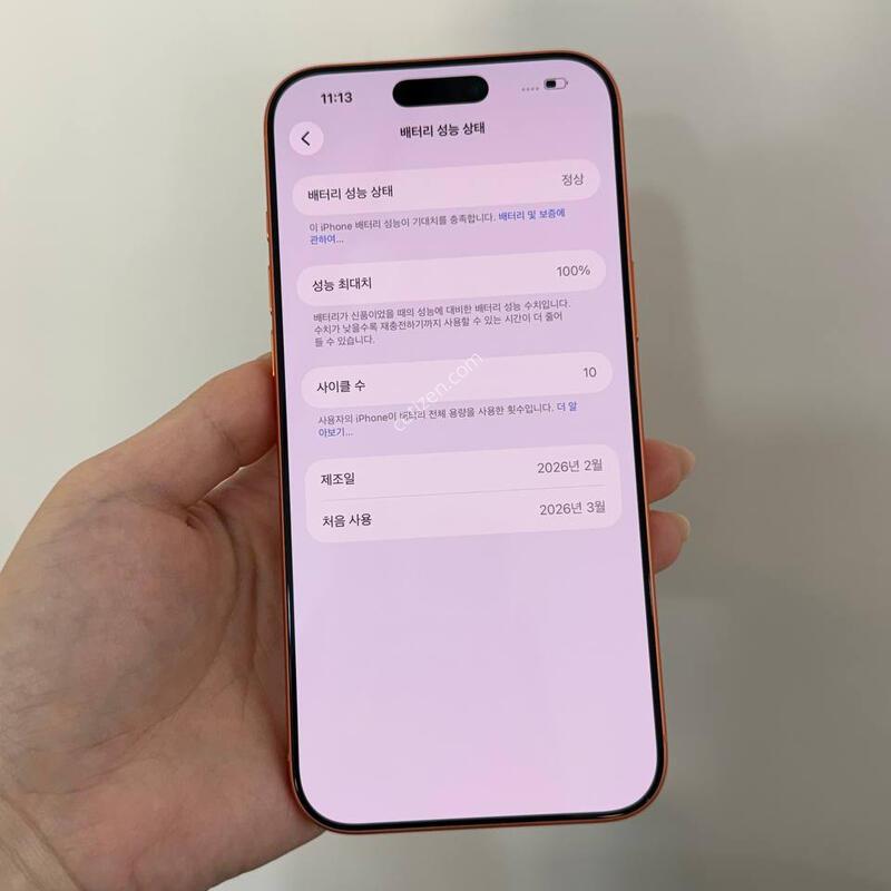 ����Ŭ10/S��)������17���θƽ� ������ 512GB/100% Y1863