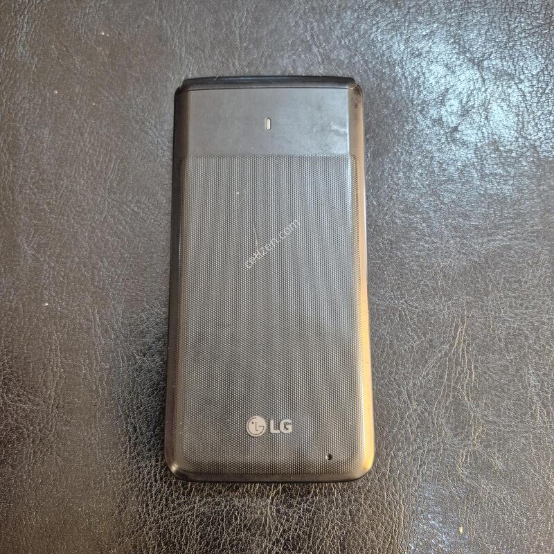 Y110L