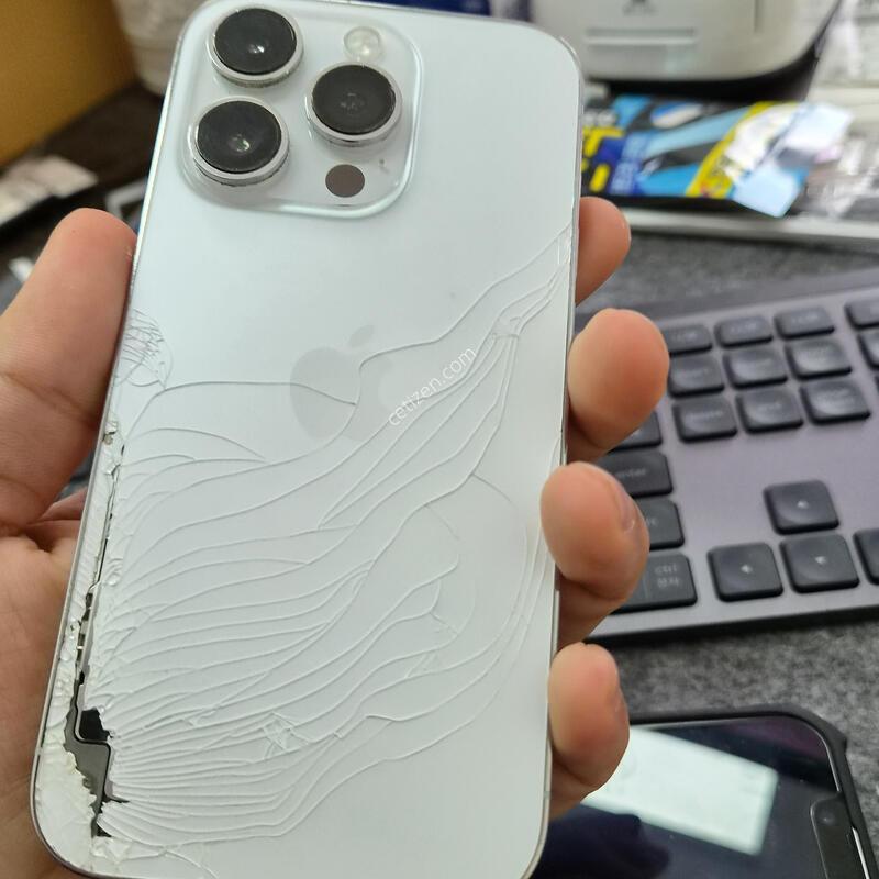 (3995)14����