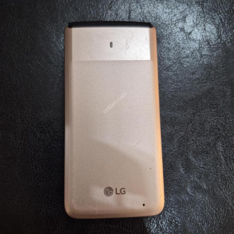 Y110L