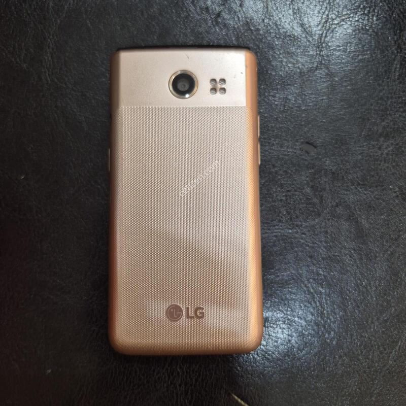 Y110L