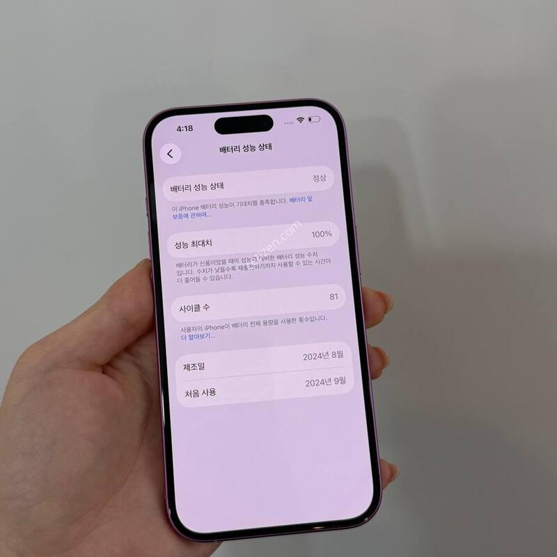 ����Ŭ81/SS��)������16 ��ũ 128GB/100% Y1891