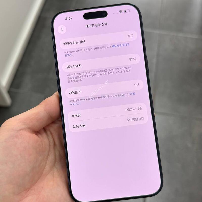 ����Ŭ135/A��)������17���θƽ� ���� 256GB/99% Y1893