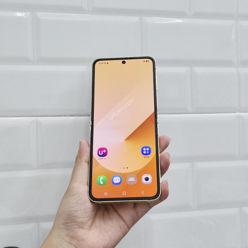 ������Z�ø�6 ���ο� 256GB