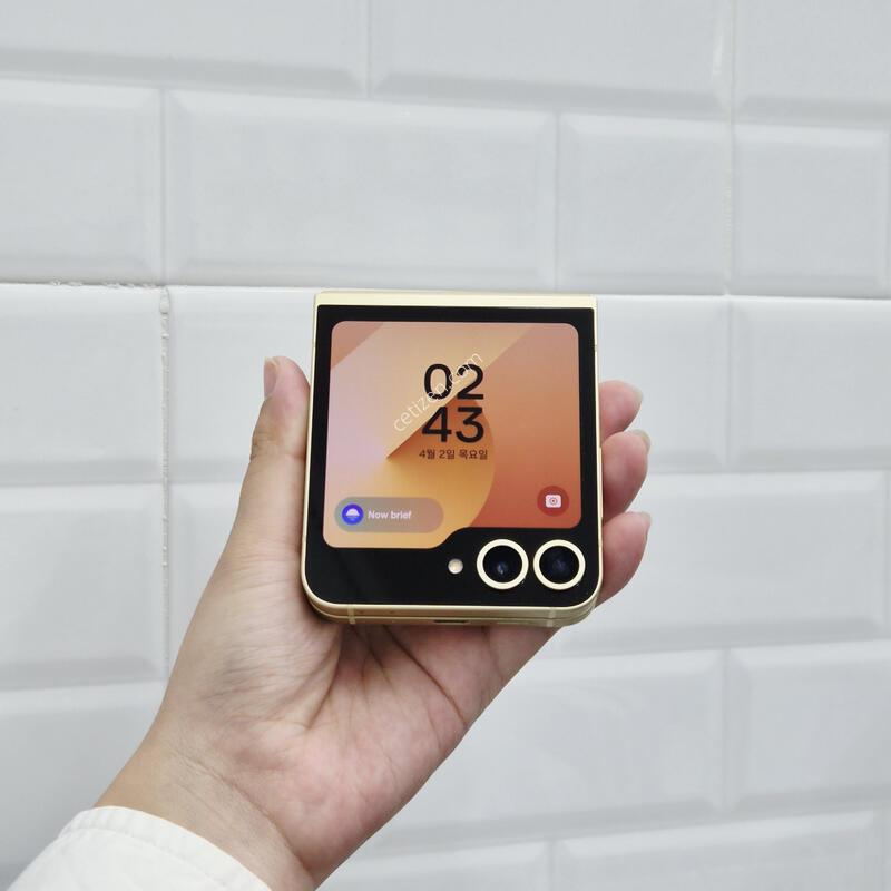 ������Z�ø�6 ���ο� 256GB