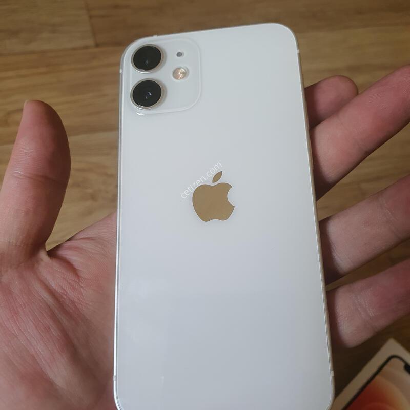 ������12�̴�