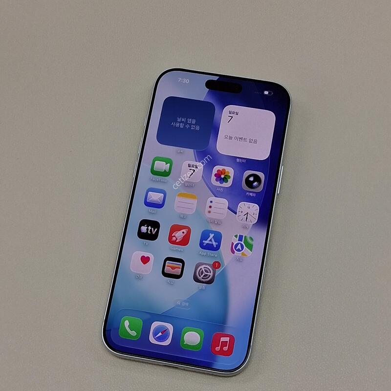 ������17���θƽ� 256GB �ǹ�