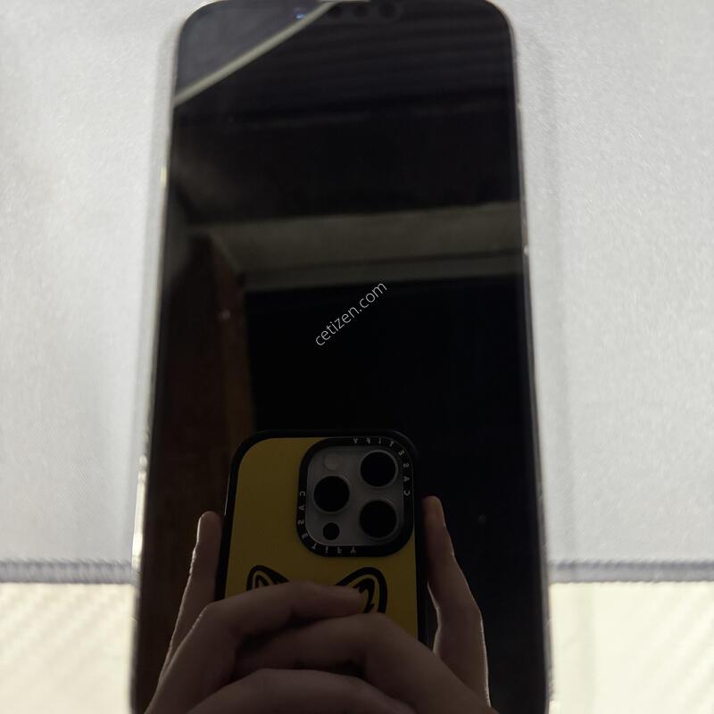 ������ 13 ���θƽ� 256
