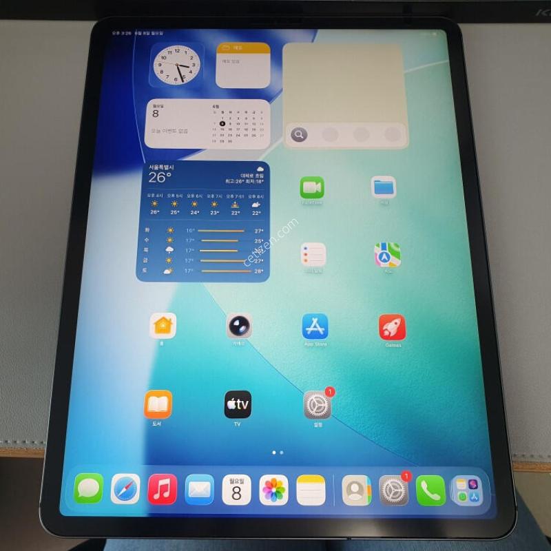 �����е� ���� 12.9 3���� / 1TB / �׷���