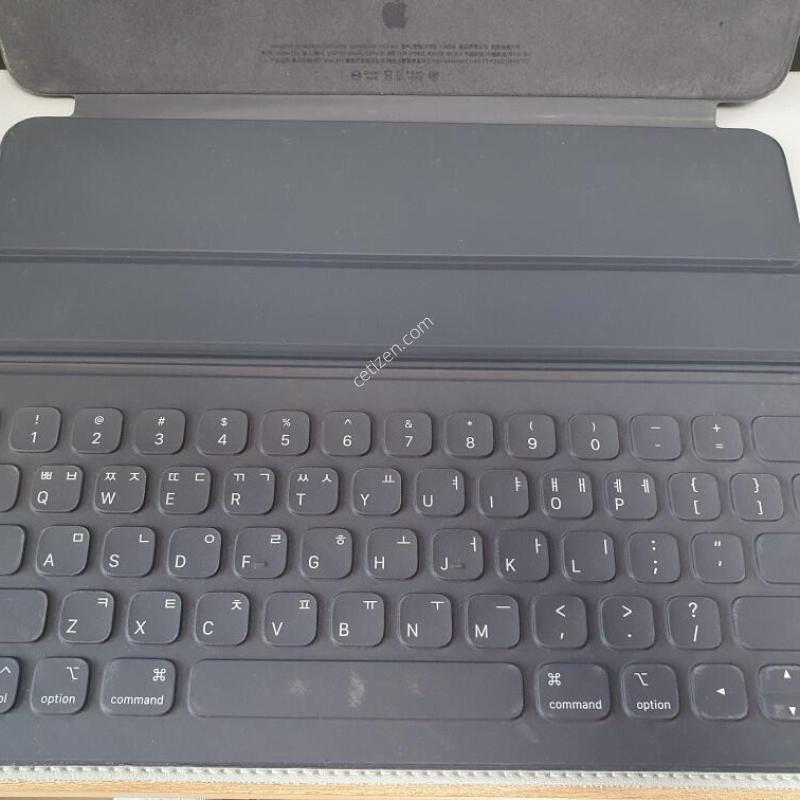 �����е� ���� 12.9 3���� / 1TB / �׷���