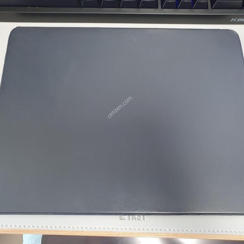 �����е� ���� 12.9 3���� / 1TB / �׷���