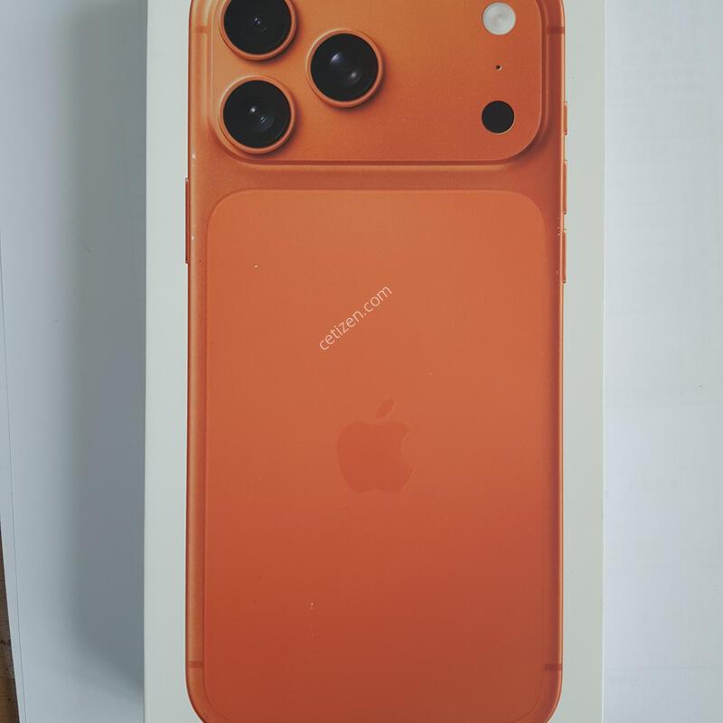 ������17���θƽ�