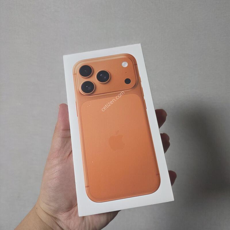 ������17���� ������ 256�Ⱑ ����ǰ �˴ϴ�