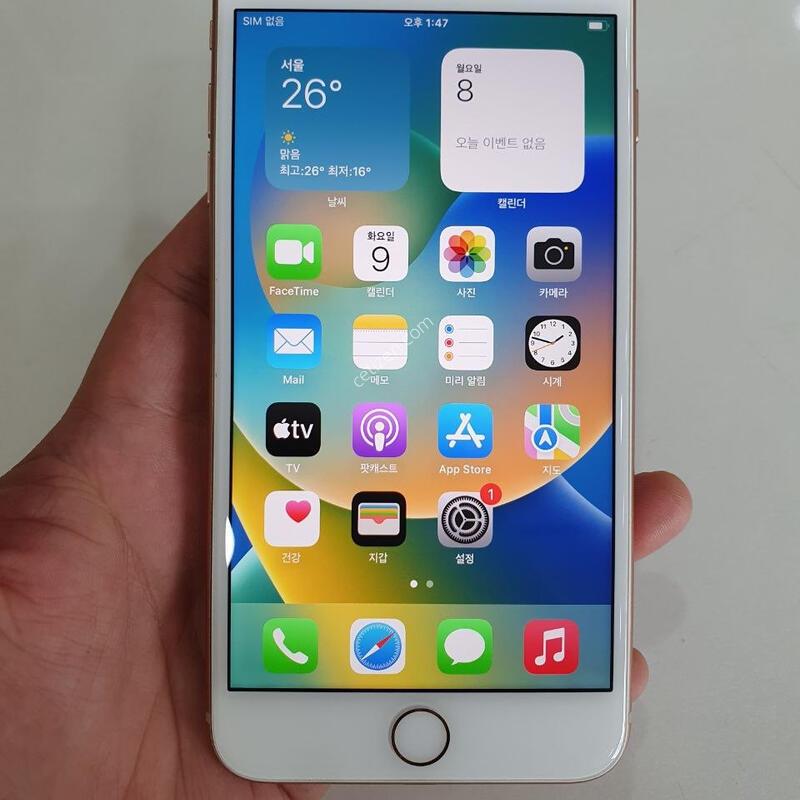 ������8�÷���256G ���ܻ� ������ ����� �߰���