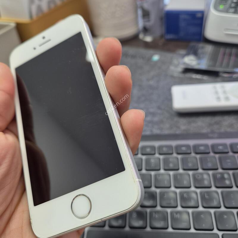 (1293)������se